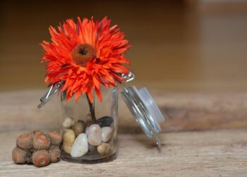 flower 689320 960 720.jpg