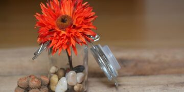 flower 689320 960 720.jpg