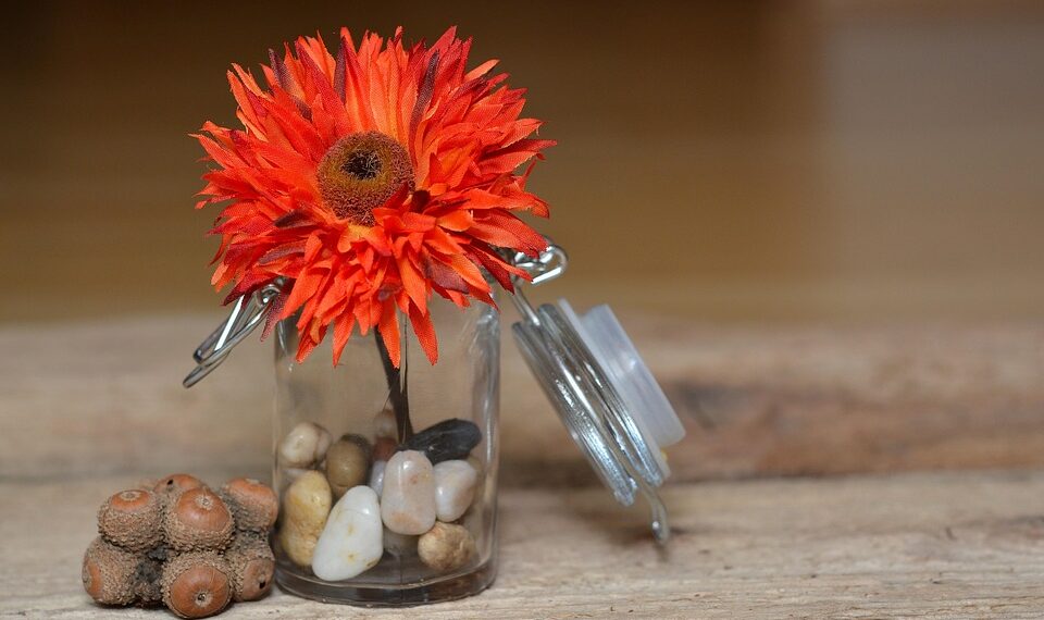 flower 689320 960 720.jpg