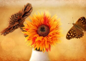 flowers 678178 960 720.jpg