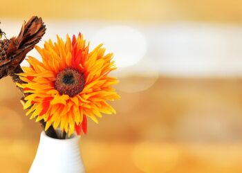 flowers 678179 960 720.jpg