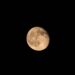 full moon 9909734 960 720.jpg
