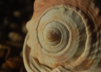 maths 3955313 960 720.jpg