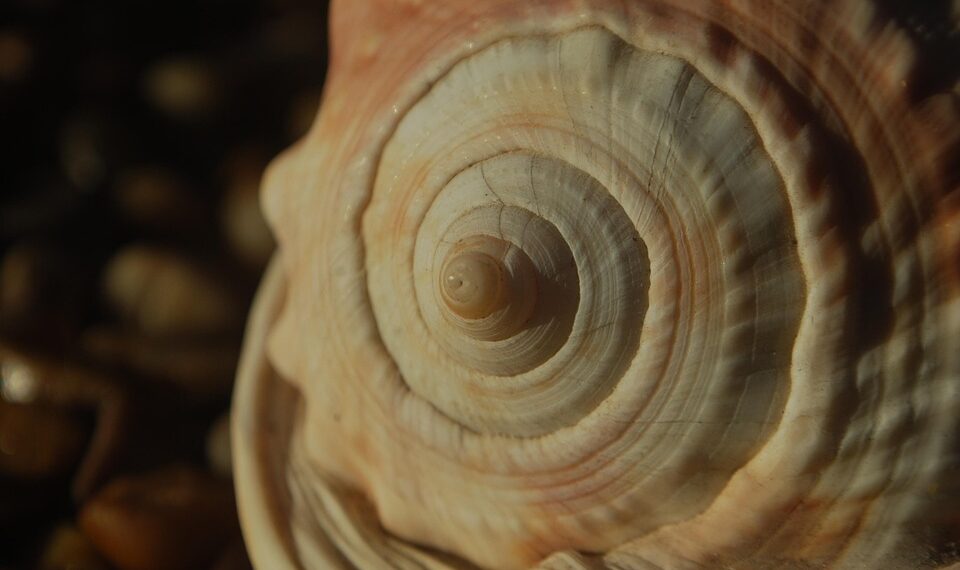 maths 3955313 960 720.jpg