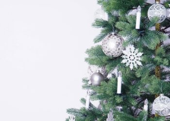 merry christmas 7629302 960 720.jpg