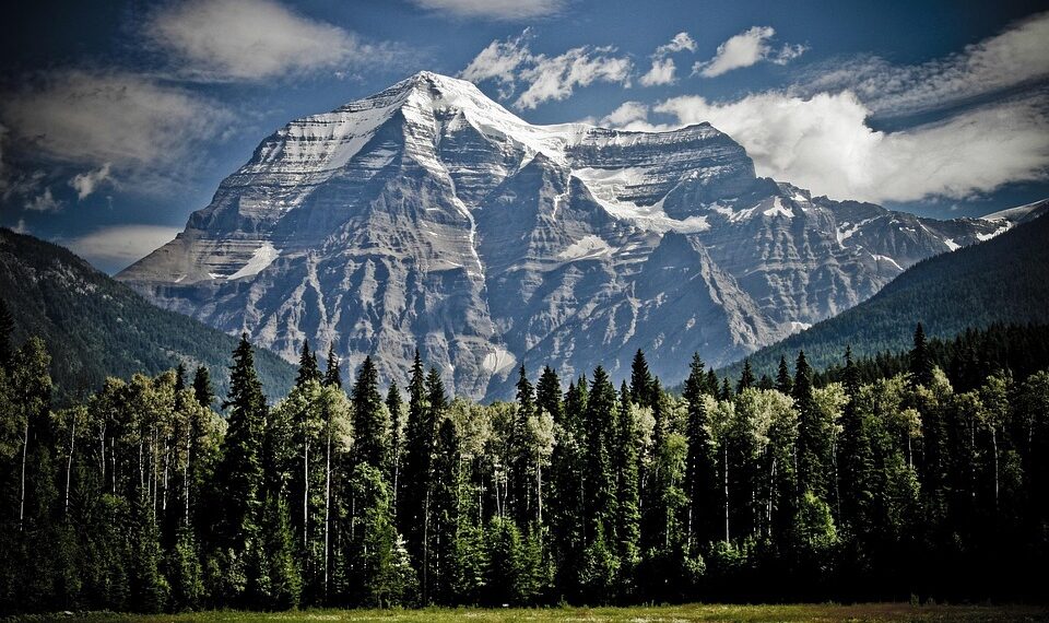 Top 25 Countries with the Lowest Quality of Life in 2025

1.  Nigeria
2.  Bangla