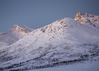 Age at First Marriage by Country:

 Spain → 38.8
 Chile → 37.8
 Netherlands → 3