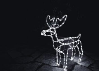 raindeer 1983174 960 720.jpg