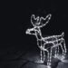 raindeer 1983174 960 720.jpg