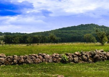 Top 15 Hardest Countries to Get Citizenship

1. Qatar
2. Vatican City
3. Liechte