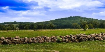 Top 15 Hardest Countries to Get Citizenship

1. Qatar
2. Vatican City
3. Liechte