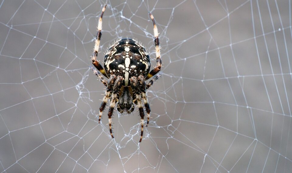 Top 20 Economies (2025) – GDP vs National Debt

1.  United States
GDP ⟶ $30.51 T