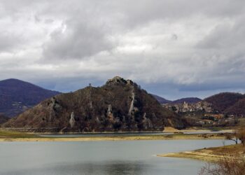 tora 1973393 960 720.jpg