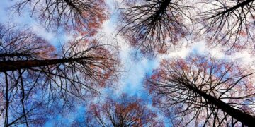 Top 50 Affordable Luxury Destinations in 2025 

 1. Lisbon, Portugal  
 2. Bali,