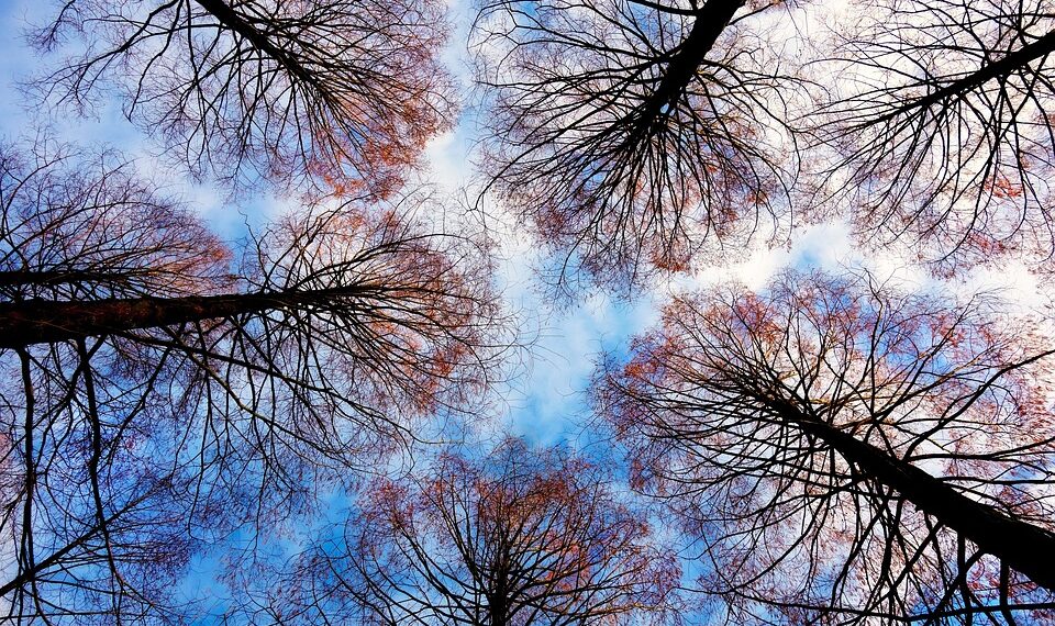 Top 50 Affordable Luxury Destinations in 2025 

 1. Lisbon, Portugal  
 2. Bali,