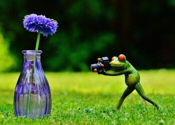 vase 1407224 960 720.jpg