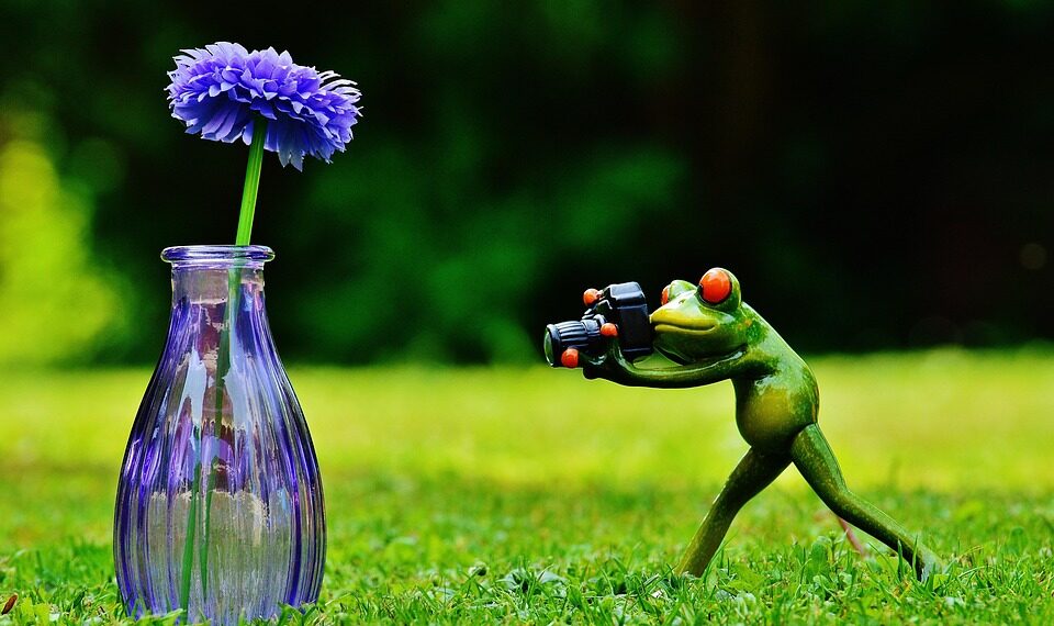 vase 1407224 960 720.jpg