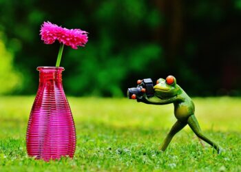 vase 1407225 960 720.jpg