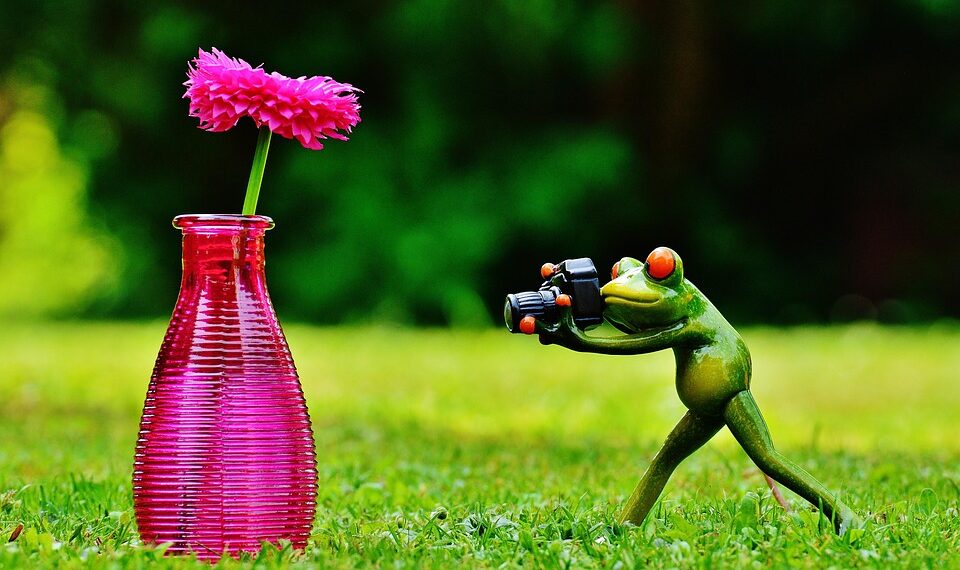 vase 1407225 960 720.jpg