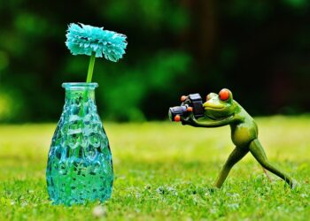 vase 1407226 960 720.jpg