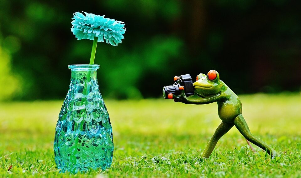 vase 1407226 960 720.jpg