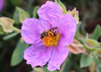 17 38 28 486 960 720.jpg