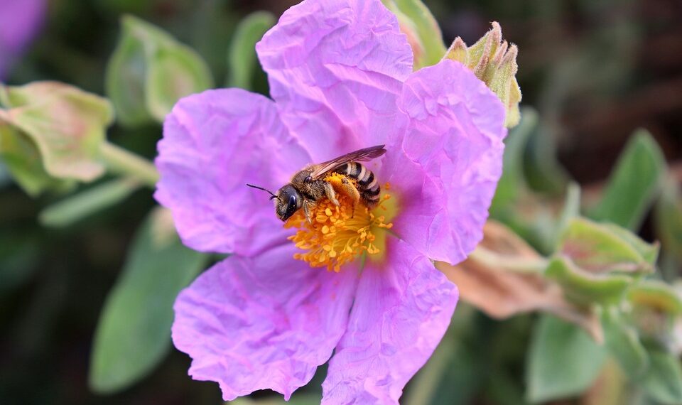 17 38 28 486 960 720.jpg