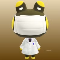 Raddle in Animal Crossing New Horizons