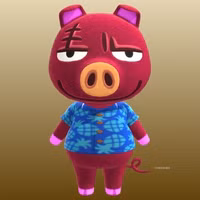 Rasher in Animal Crossing New Horizons