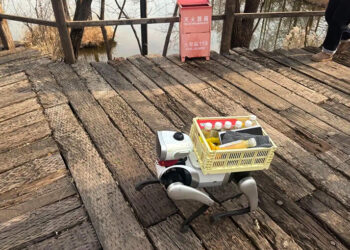 Affordable Robot Dogs Are Entering China’s Market