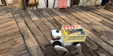 Affordable Robot Dogs Are Entering China’s Market