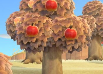 All Fruit Tree Types and How to Complete and Solve Them in ACNH