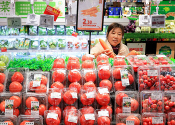 China's November Consumer Prices Reach 20-Month Peak Amid Food Price Surge