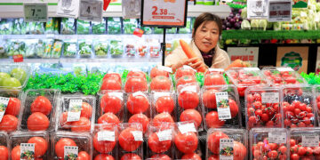 China's November Consumer Prices Reach 20-Month Peak Amid Food Price Surge