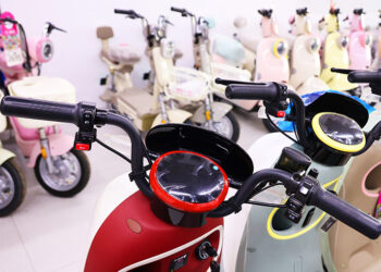 Chinese E-Bike Sales Halt Under Old Standards, Industry Faces Challenges