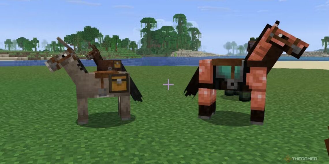 How To Find And Use All Minecraft Mounts And Vehicles for Completing and Solving