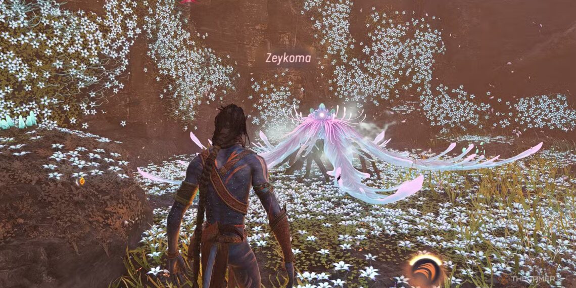 How to Achieve Eywa's Blessing Through Completing and Solving