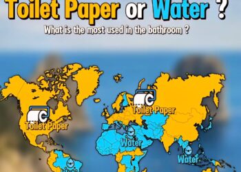 Bathroom Preferences by Country