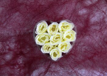 artificial 20498 960 720.jpg