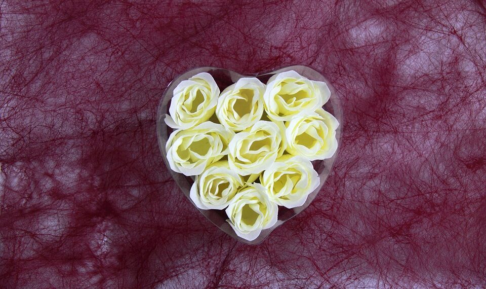 artificial 20498 960 720.jpg