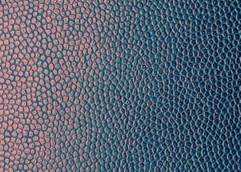 artificial 6863456 960 720.jpg