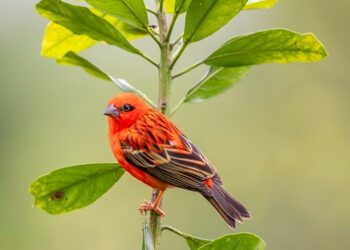 The 40 Most Beautiful Countries in the World

1.  Australia
2.  Mexico
3.  Brazi