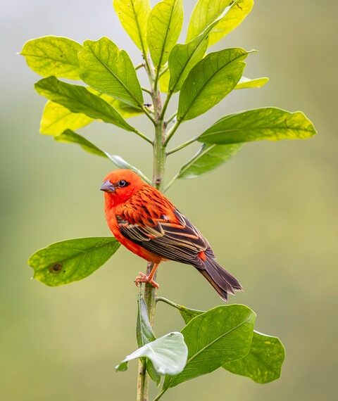 The 40 Most Beautiful Countries in the World

1.  Australia
2.  Mexico
3.  Brazi