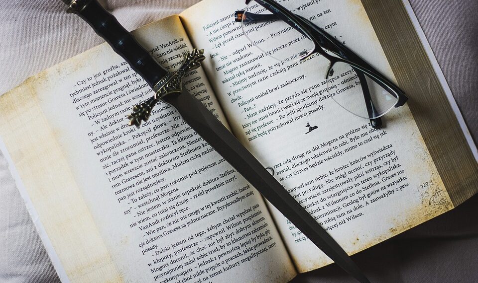 book 2435583 960 720.jpg