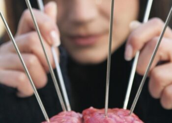 brain 3513957 960 720.jpg