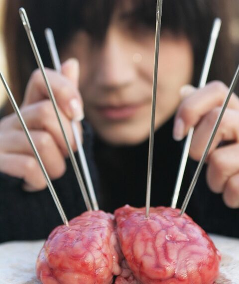 brain 3513957 960 720.jpg