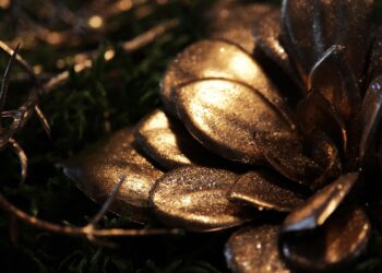 christmas 4689236 960 720.jpg