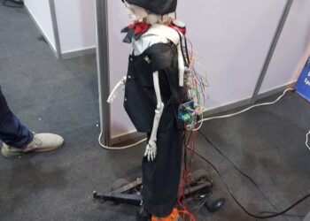 codion1764441923 0.jpg