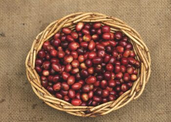 Countries with Largest Homeless Population
1. Pakistan – 8,000,000
2. Bangla