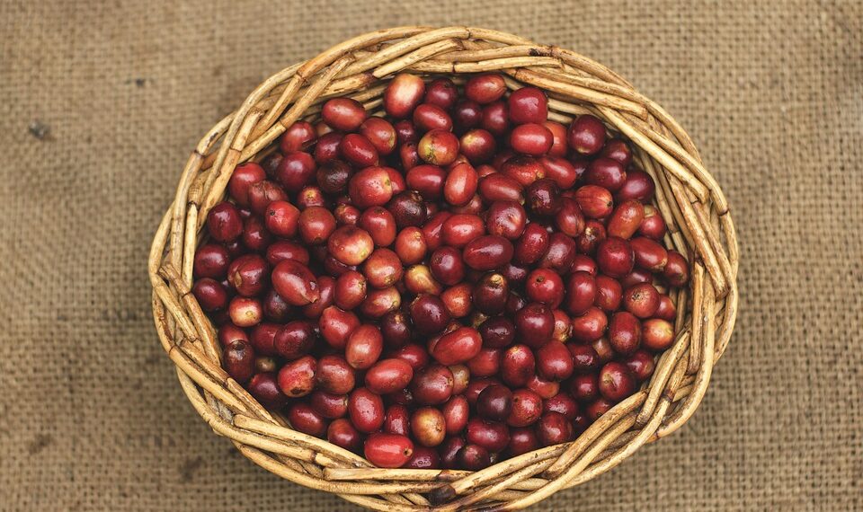 Countries with Largest Homeless Population 

1.  Pakistan – 8,000,000
2.  Bangla